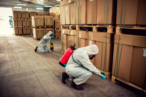 Best Pest Inspection Near Me  in Hamburg, IA