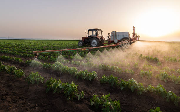 Best Pest Removal Services  in Hamburg, IA