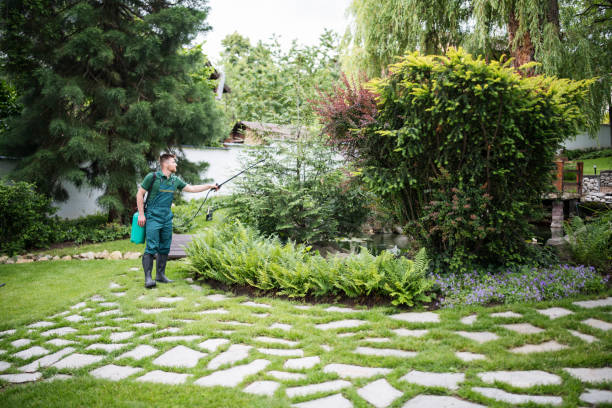 Best Residential Pest Control  in Hamburg, IA