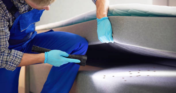 Best Residential Pest Control  in Hamburg, IA