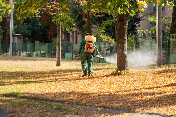 Best Emergency Pest Control  in Hamburg, IA