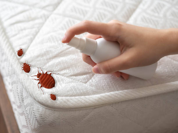Best Mosquito Control Services  in Hamburg, IA