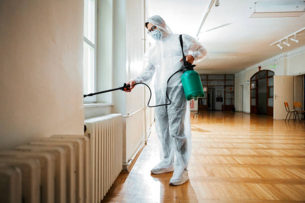 Best Rat Extermination Near Me  in Hamburg, IA