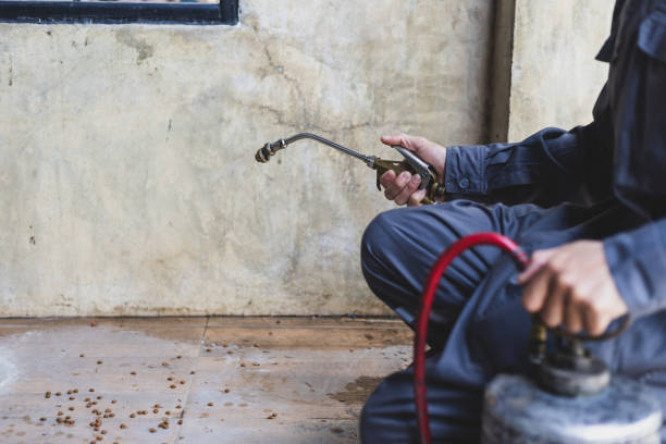 Best Local Pest Control Services  in Hamburg, IA