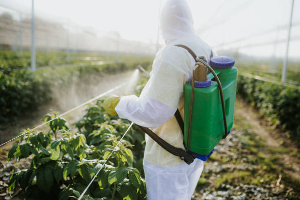 Reliable Hamburg, IA Pest Control Solutions